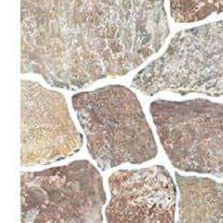 Crazy Cut Stones pattern CQU690948